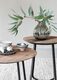 DTP Home Highlight salontafel Neptunes small - Korver Living