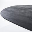 Eettafel Aron ovaal 200x110 - zwart - Korver Living