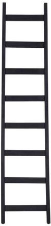 ml-458902-steps-ladder-burned-black