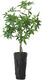 ml-854206-vase-le-jardin-small-black-3