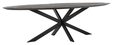 Large-BT 611385 Timeless Shape dining table oval black 280_2_1288762595571