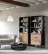 Web_Test-CS-605004-CS-605005-Cosmo-bookcase-ML-751940-Revolution-sofa-ML-Positano-coffee-table_sf1a_DTP