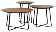 Web_Test-HI-301140_42_44-Neptunes-coffee-table-natural_1