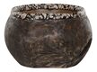 Large-ML 430944 Coral bowl_1_6888762583897