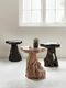 Web_Test-ML-456024-456025-456026-Mushroom-stool_sf1_DTP