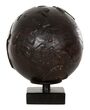 Web_Test-ML-353916-MUST-Living-globe-Black_1