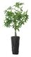 Web_Test-ML-854206-Le-Jardin-vase-small-Black_3