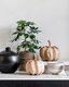 Web_Test-ML-353920-Pumpkins-set-of-2_sf1_DTP