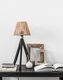 Web_Test-ML-521717-Montecristo-table-lamp-black_sf1_DTP