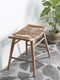 Web_Test-ML-457010-Rex-stool_sf1