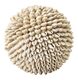 large-ml-855924-sand-shell-ball-white1_1257515081844