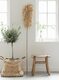 Web_Test-ML-530817-Sisal-Leaf-ML-Bohemian-stool-ML-Palette-basket_sf1_DTP