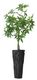 Web_Test-ML-854207-Le-Jardin-vase-large-Black_3