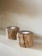 Web_Test-ML-852016-Fossil-candleholder_sf1_DTP