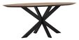 Large-TI 601380 Shape dining table oval 200_2_1288762595539