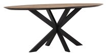 Large-TI 601380 Shape dining table oval 200_2_1288762595539