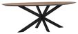 Large-TI 601382 Timeless Shape dining table oval 240_2_1288762595565