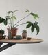 Web_Test-TI-Shape-dining-table-oval_detail2_DTP