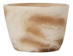 ML-426710-Donatello-bowl-Brown-white_1