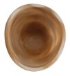 ML-426710-Donatello-bowl-Brown-white_3